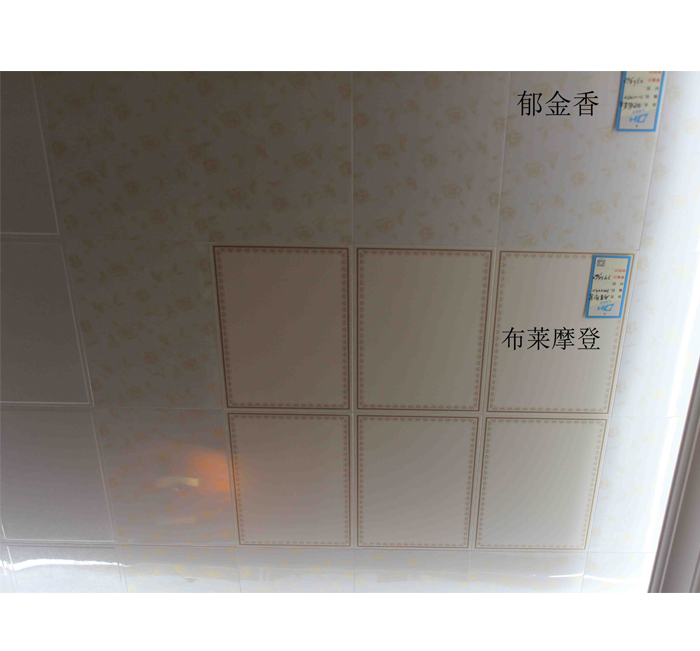 高級(jí)鋁扣天花吊頂
