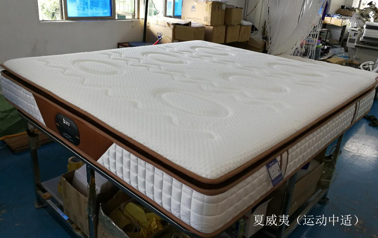 百寧品牌床墊廈威夷運(yùn)動中適